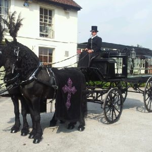 Horse drawn hearse