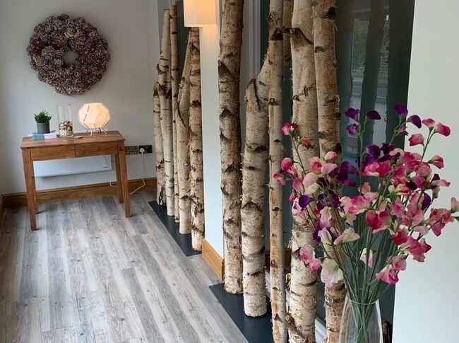 Birch trees inside a house