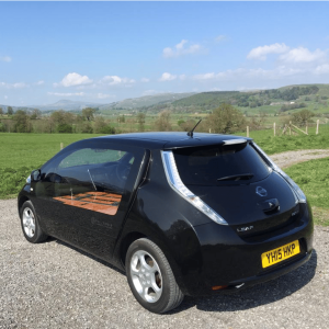 Eco Hearse